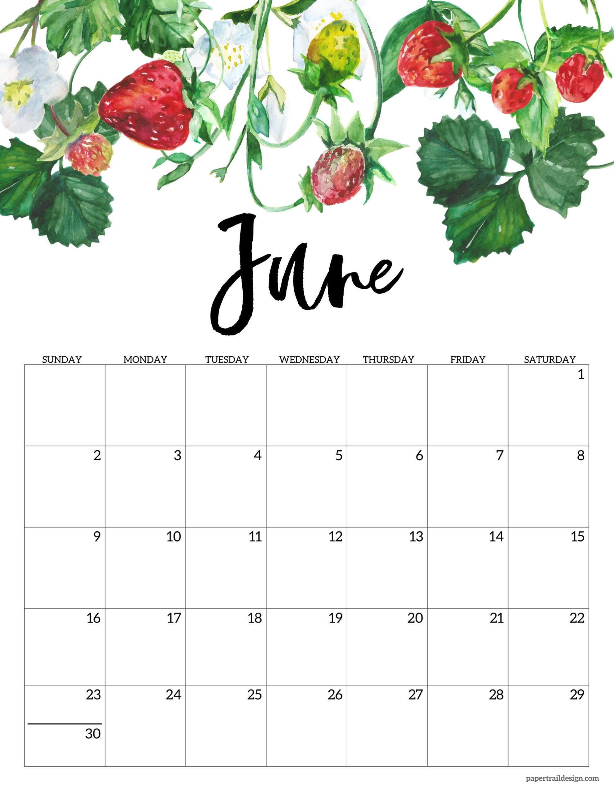 2024 Floral Calendar Printable - Paper Trail Design for 2024 Floral Calendar Printable