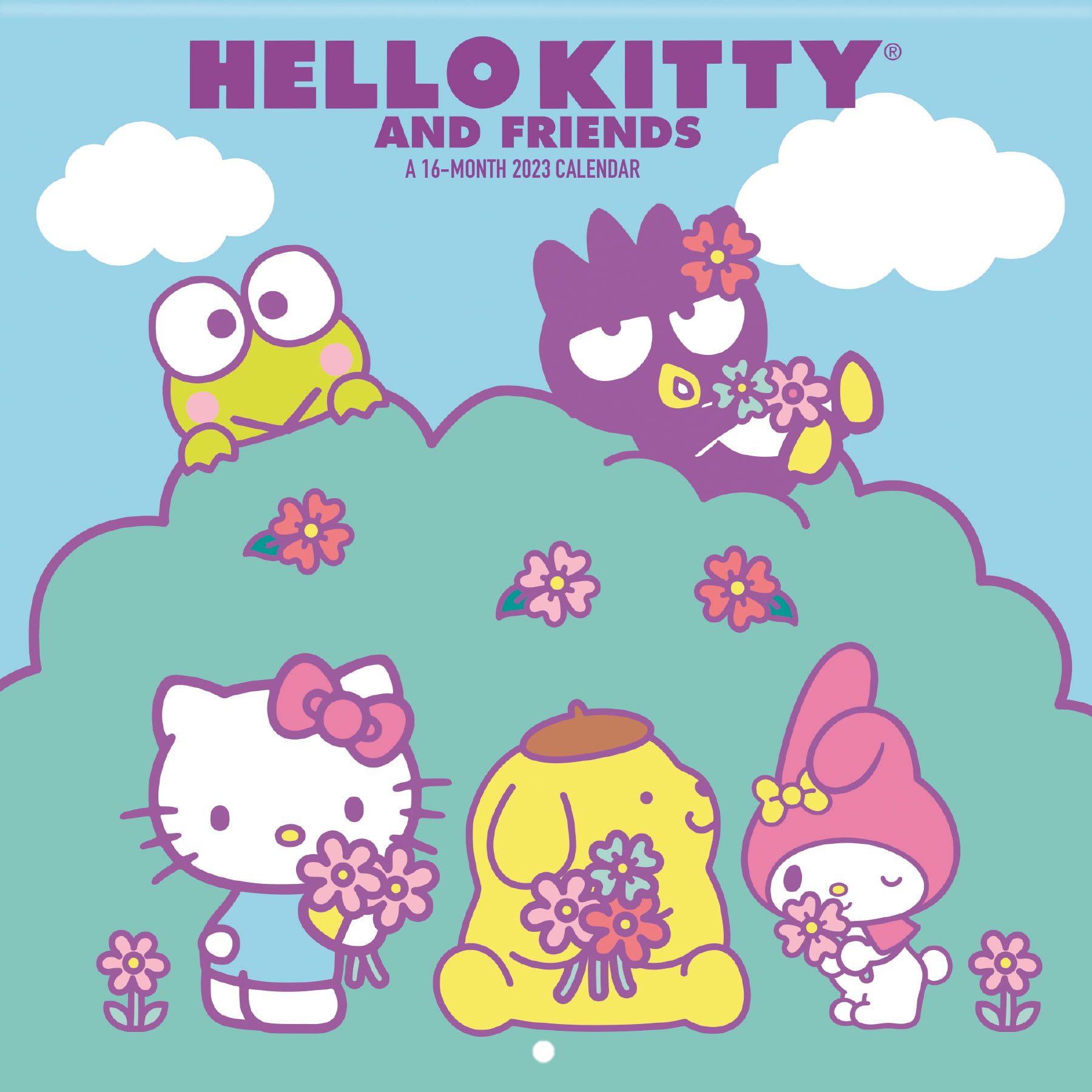 Trends International 2023 Hello Kitty Mini Wall Calendar - Walmart for Hello Kitty Printable Calendar 2024