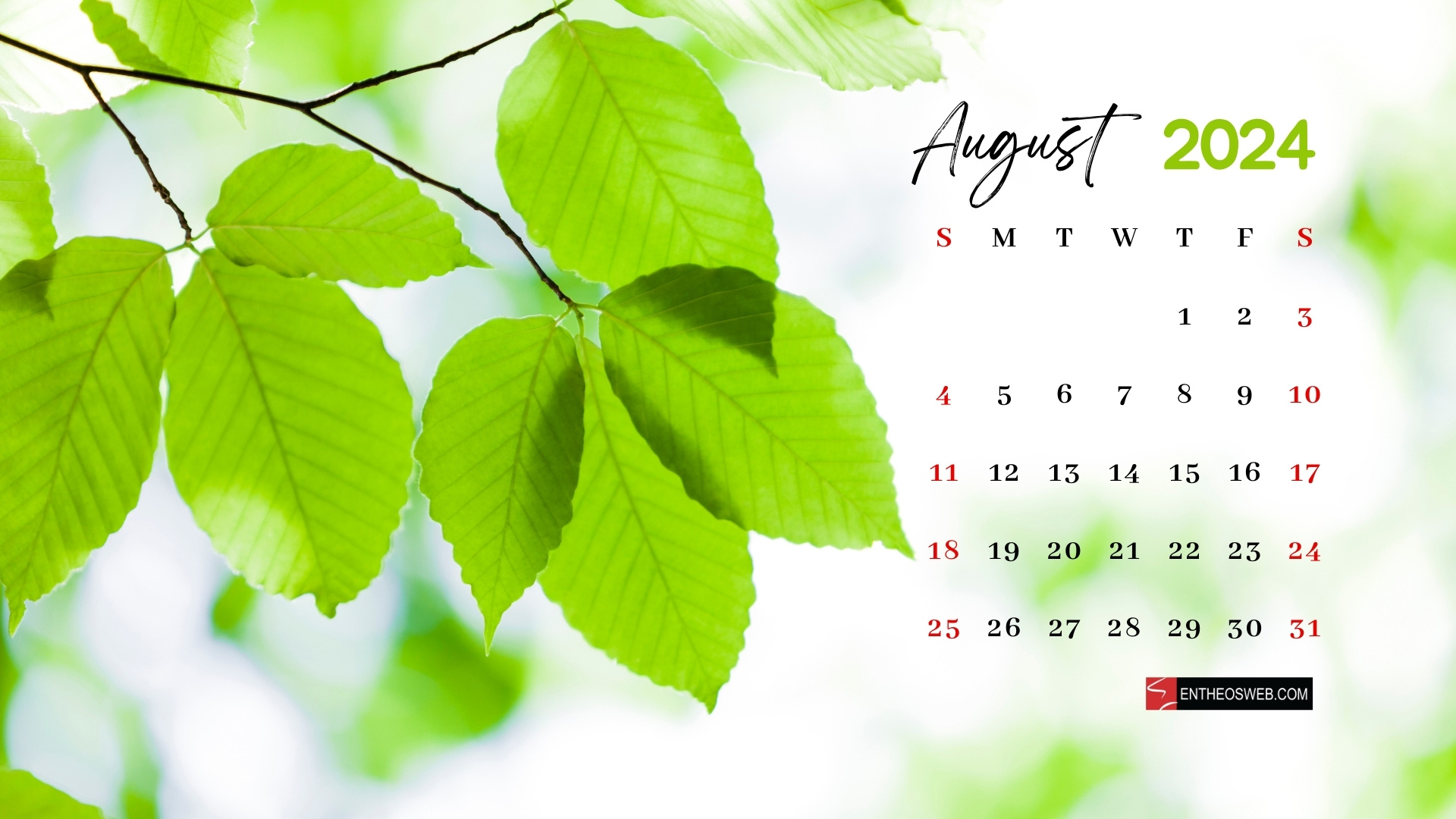 August 2024 Desktop Wallpaper | Entheosweb for August 2024 Calendar Desktop Wallpaper