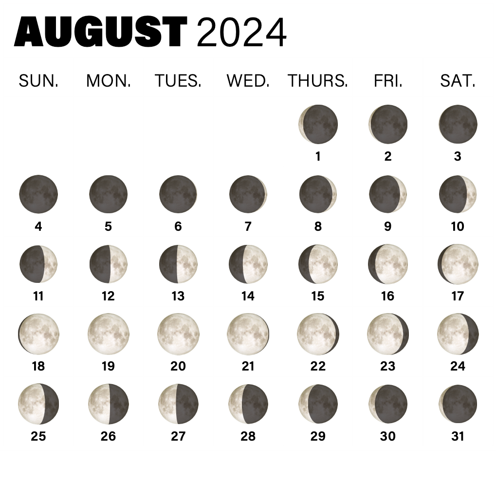 2024 Full Moon Calendar: When To See The Full Moon And Phases for Full Moon Calendar September 2024