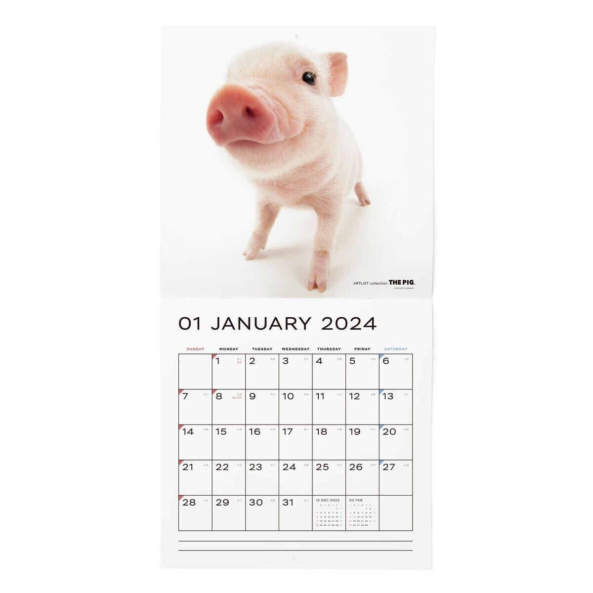 The Pig 2024 Calendar Large Size 290 × 290Mm in 2024 December Calendar Printable Piglet