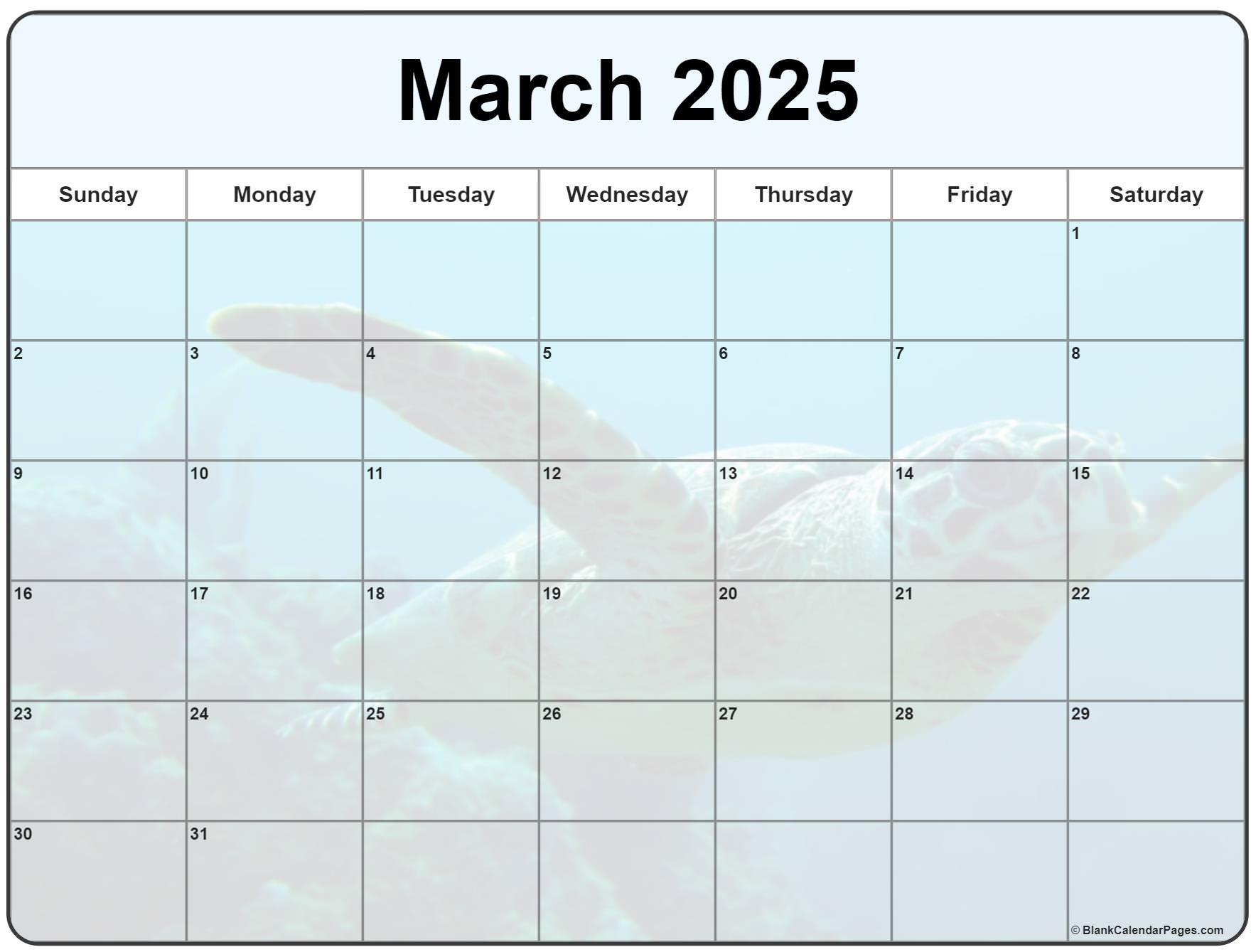 Collection Of March 2025 Photo Calendars With Image Filters. inside Wiki Calendar March 2025