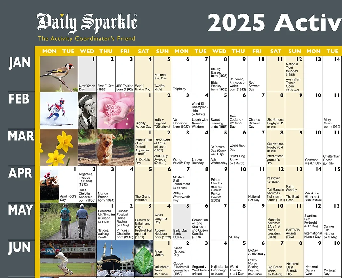 Activity Wall Planner 2025 - Daily Sparkle regarding June Activity Calendar For Seniors 2025