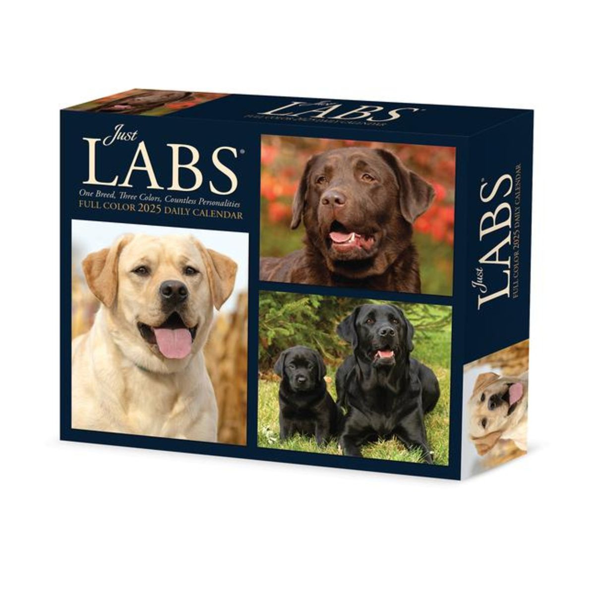 &amp;quot;Labs 2025 6.2 X 5.4 Box Calendar&amp;quot; Kaufen for July 2025 Calendar Labs