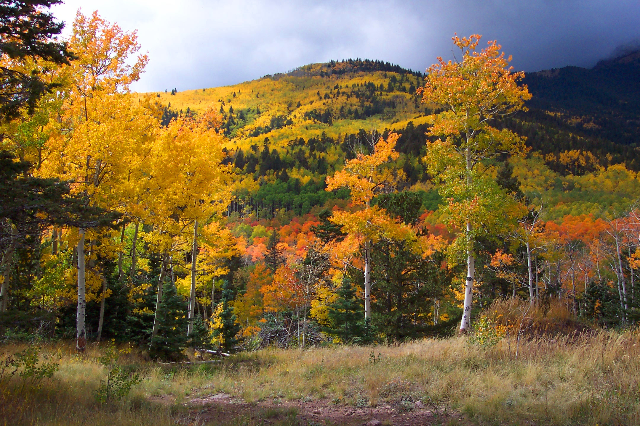 Enjoying Autumn In The National Parks (U.s. National Park Service) inside Best National Parks To Visit In October 2025