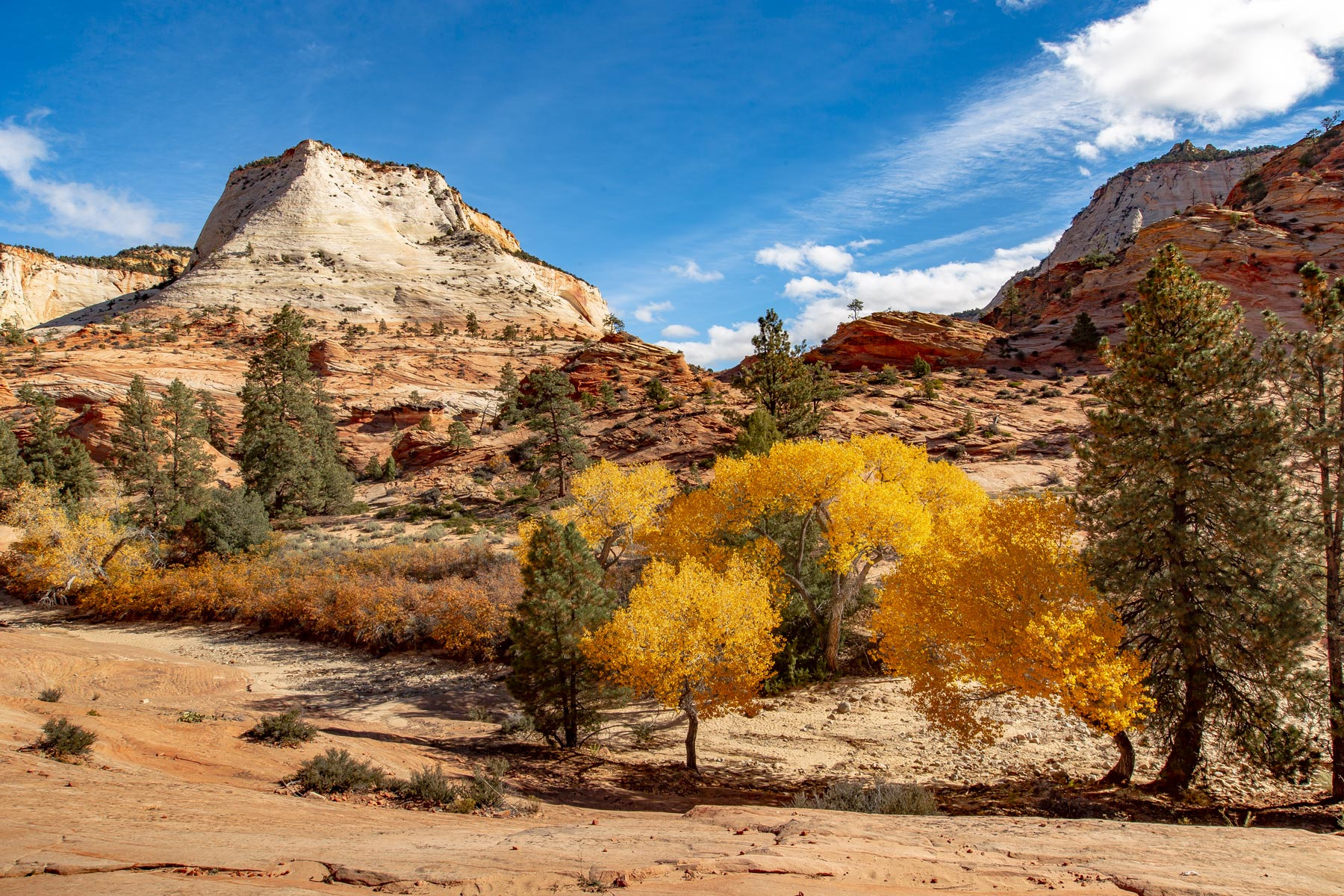 Fall In Zion National Park: Everything You Need To Know with Zion National Park In October 2025