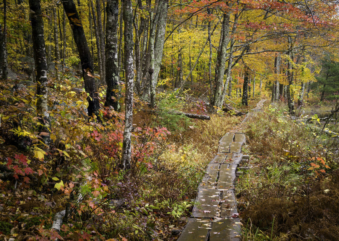 Maine&amp;#039;S Acadia Np In Autumn Photo Tour (October 9-12, 2025) - Nanpa pertaining to Acadia National Park In October 2025