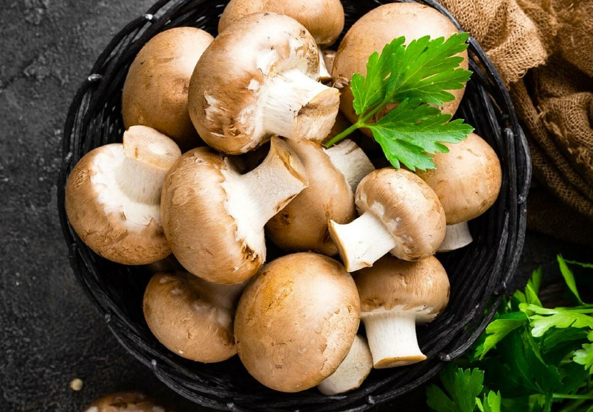 National Mushroom Day - October 15, 2025 - National Today for October 15 National Day 2025