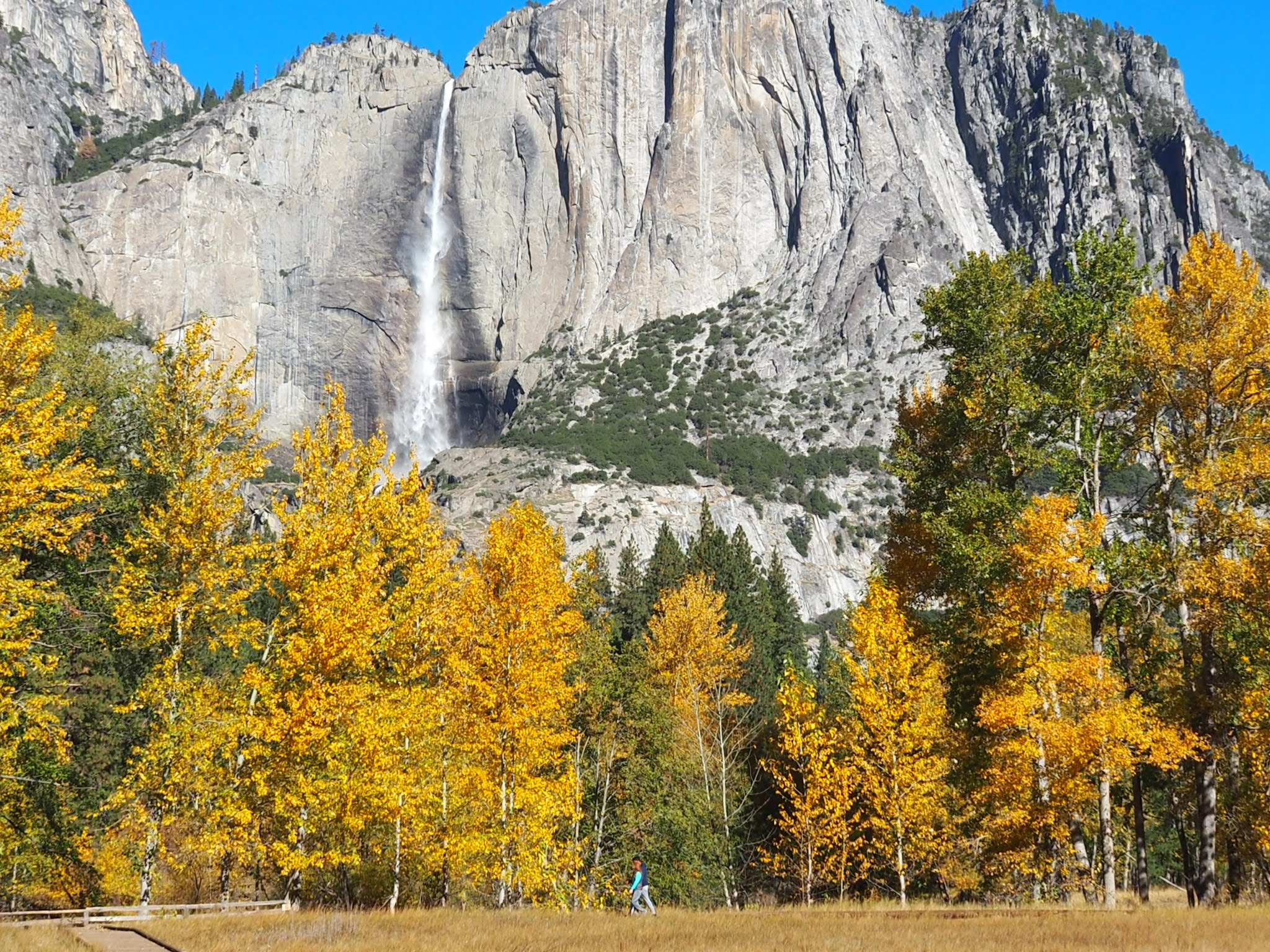 Yosemite In October: A Complete Guide - The Redwoods In Yosemite ® with Yosemite National Park In October 2025