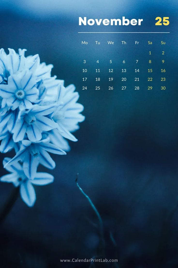 Iphone 2025 Calendar Wallpapers In Hd Download inside November 2025 Calendar Iphone Wallpaper