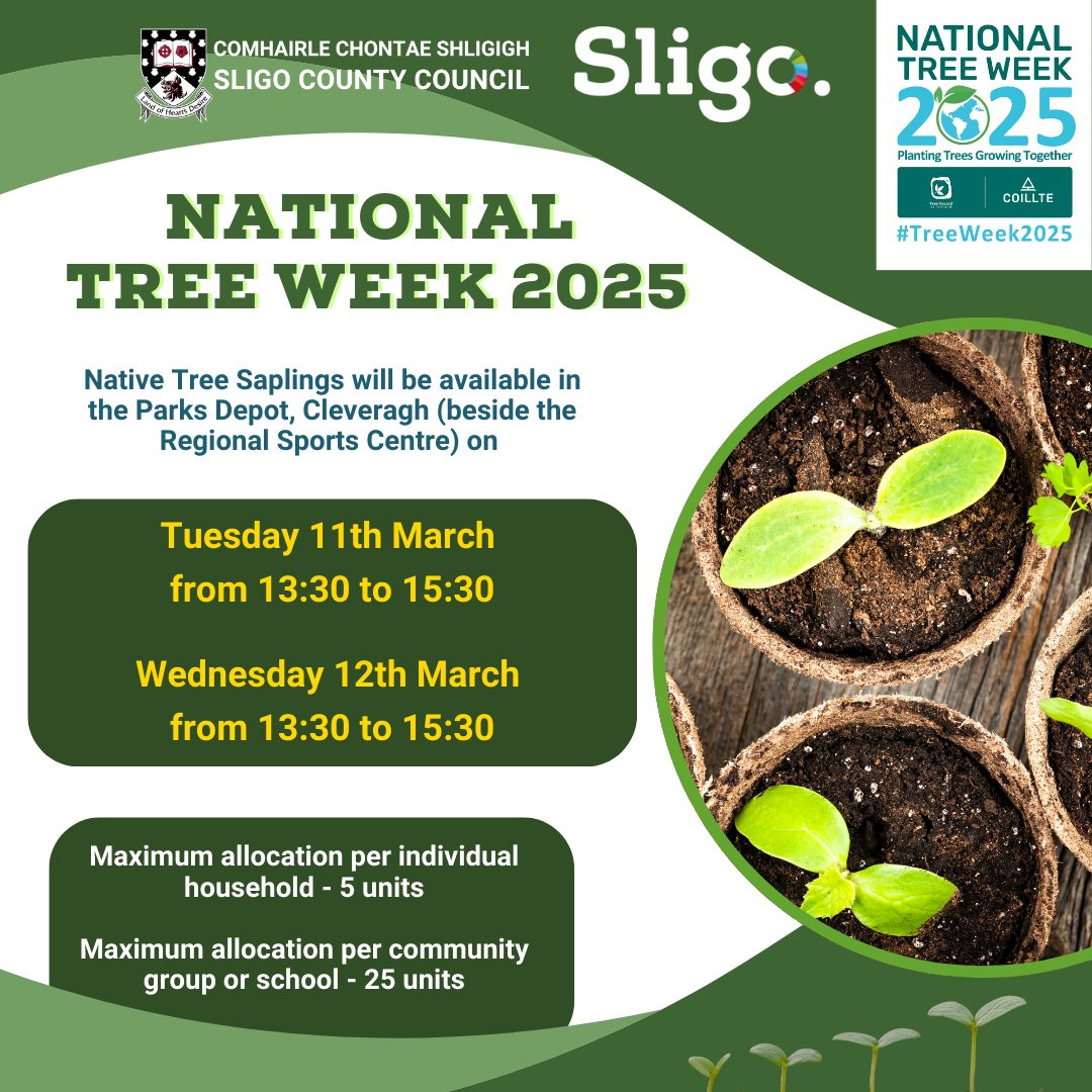 Sligo County Council On X: "🌳National Tree Week 2025🌳 Native pertaining to National Tree Week November 2025