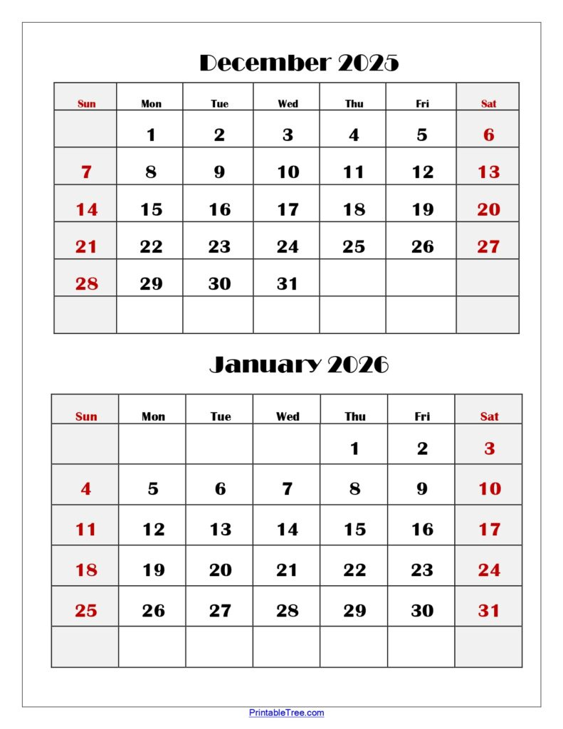 December And January 2026 Calendar Printable Pdf | Two Months Calendar for January To December 2026 Calendar Printable